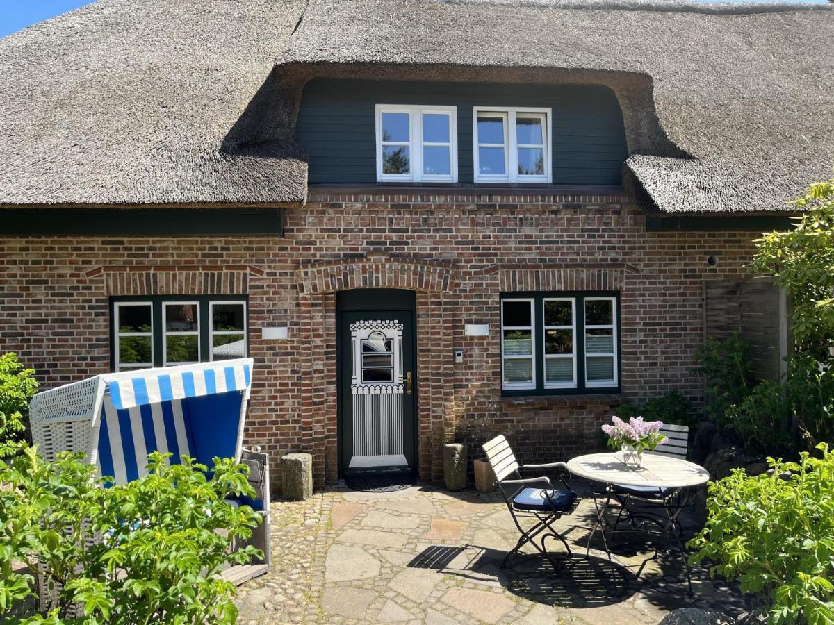 Kiebitz * Westerland